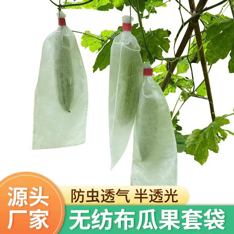 冬瓜网兜苦瓜丝瓜套袋：守护你的蔬菜园，告别虫害烦恼！