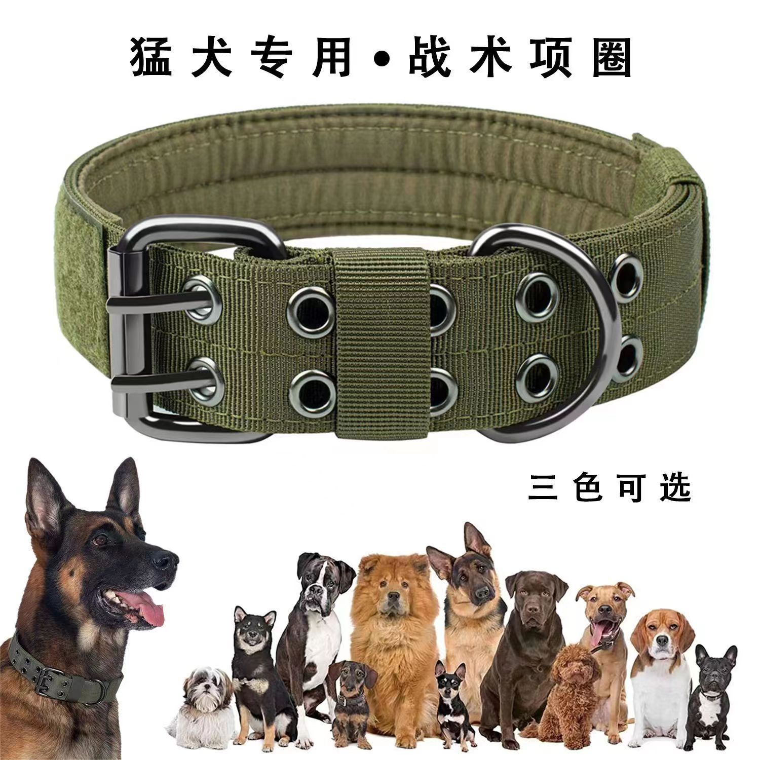 Petlimit316钛钢不锈钢狗狗脖圈：大狗专属，金毛训犬必备神器✨
