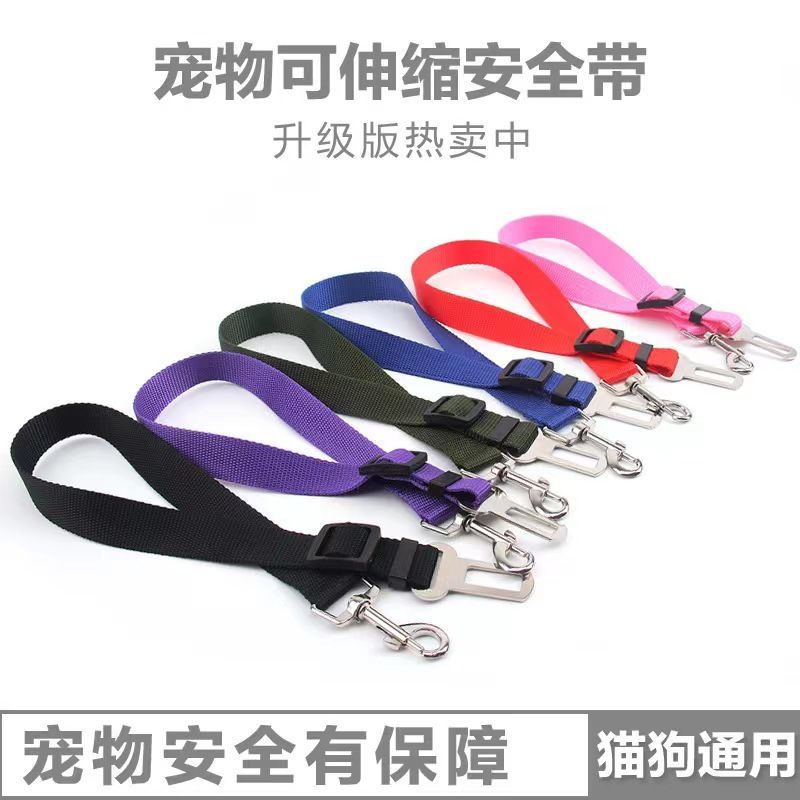 宠物安全带：狗狗猫咪乘车必备神器，安全出行无忧！