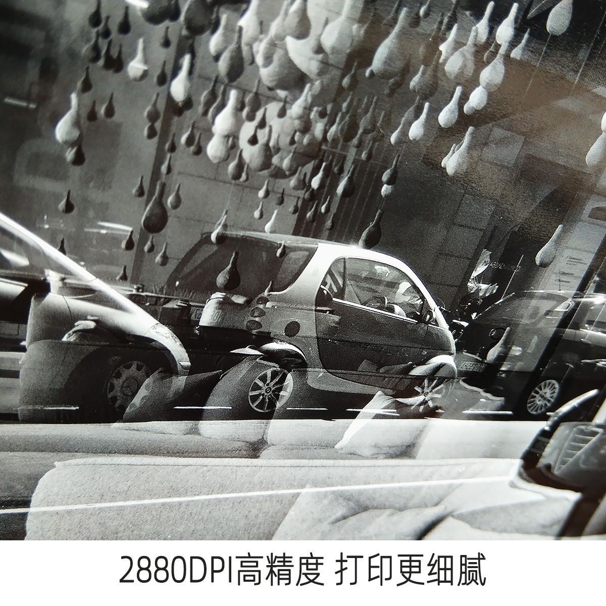 深圳会展中心宠物展，宝藏展会来袭，宠物爱好者绝不能错过！
