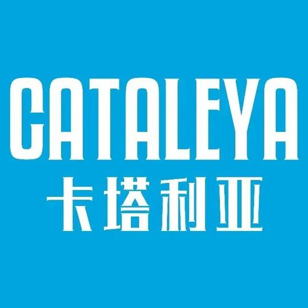 亚亚卡盟,探索全球跨境电商的无限可能
