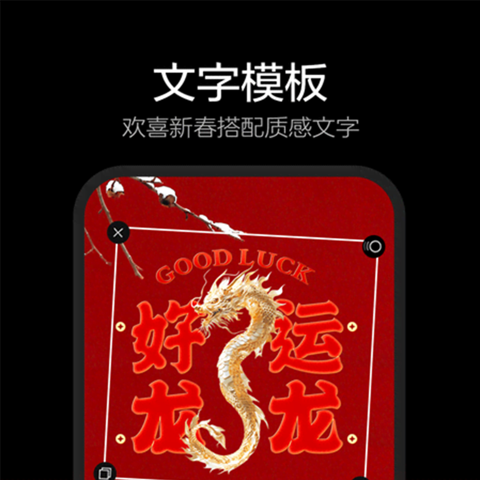 樊登讲书VIP月卡：解锁知识宝库，30天会员畅听人生智慧！