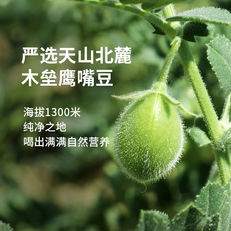 星植代StarPlants鹰嘴豆奶：0乳糖0胆固醇，素食友好，健身必备的植物蛋白饮料！