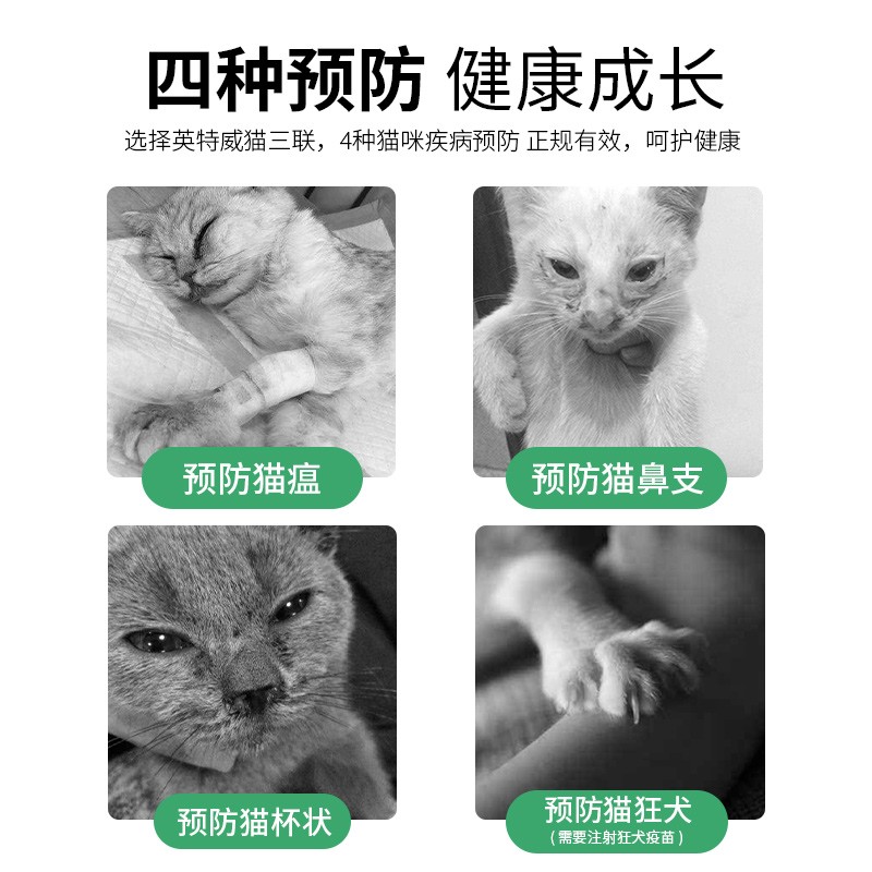科妙优国产猫三联疫苗：守护喵星人的最强防线，揭秘妙三多背后的科学力量！