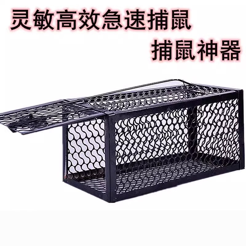 实验鼠笼大揭秘：实验室里的“小白鼠”乐园，你造吗？