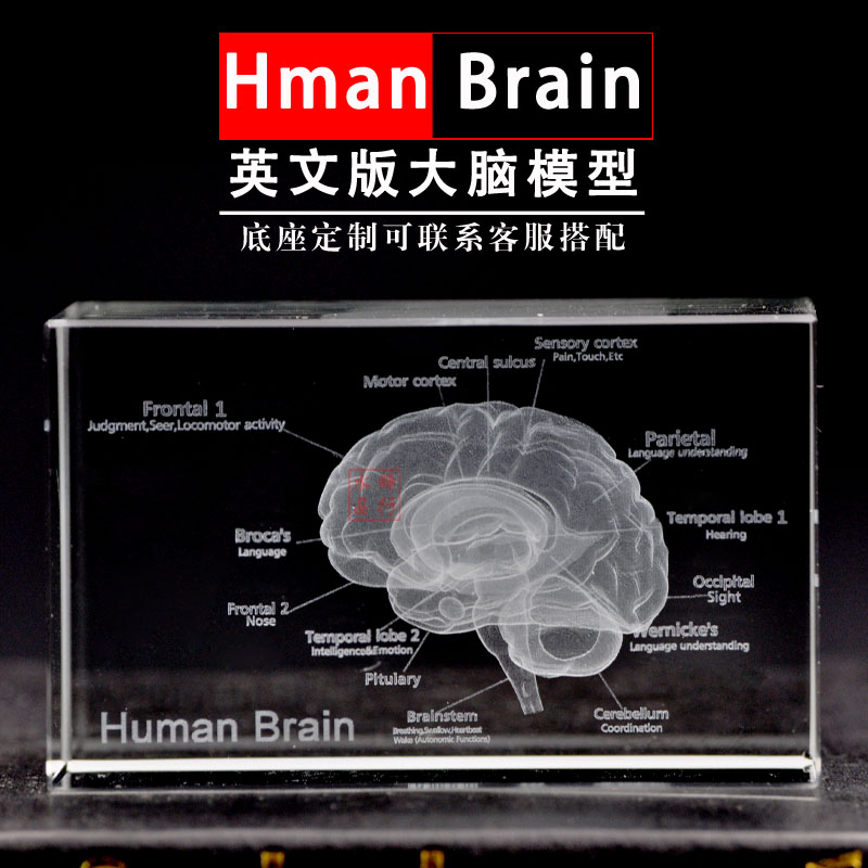 水晶内雕定制摆件：建筑、人像、动漫，3D雕刻模型的艺术盛宴！