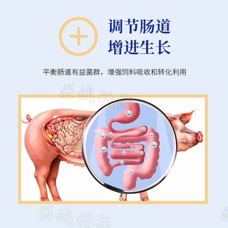 远征霉益解饲料添加剂：母猪专用，高效吸附黄曲霉毒素的秘密武器！