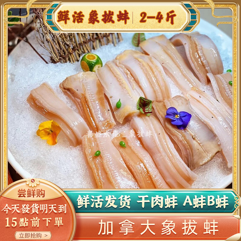 鲜活象拔蚌刺身，加拿大进口海鲜水产，顺丰包邮，拍1件1斤两只，鲜美直达你的餐桌！✨