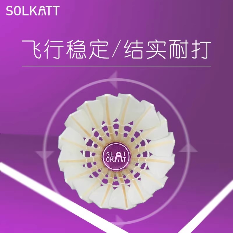 飞峰紫索凯Pro羽毛球：室内训练比赛的不二选择！