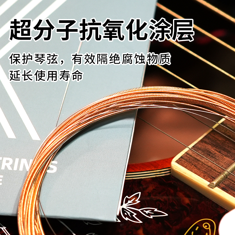 电贝斯琴弦的秘密：如何选择最适合你的四弦或五弦套弦？