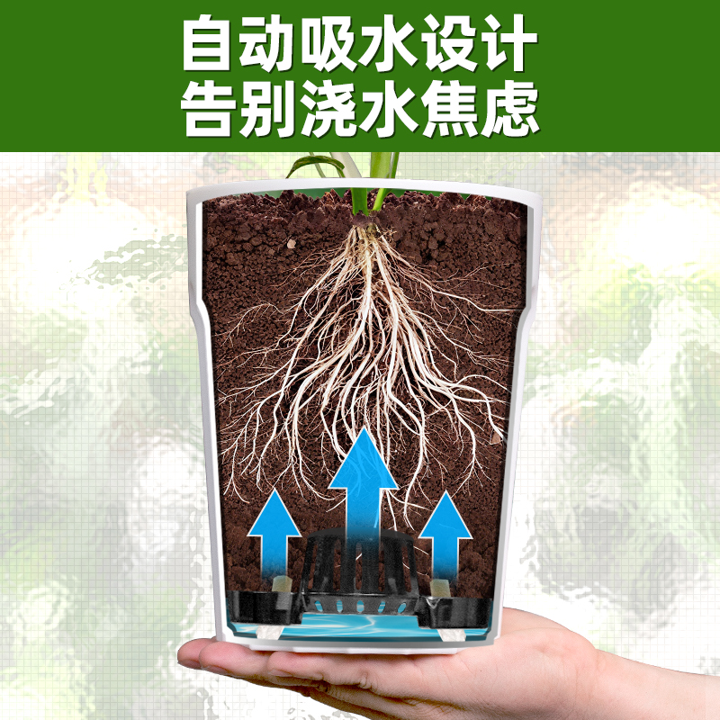 懒人必备神器！自动吸水储水塑料花盆，龟背竹也能轻松养活