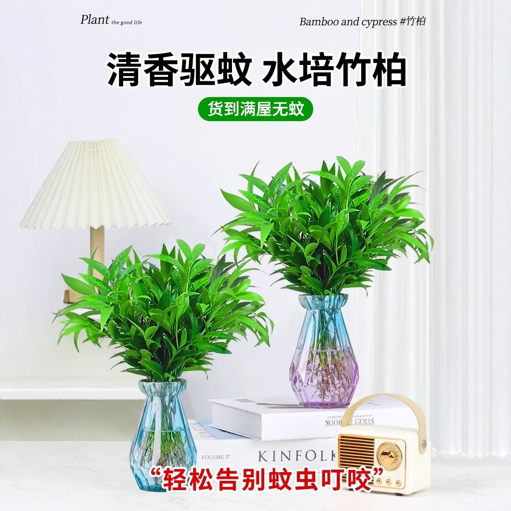 彩色气泡iPhone15ProMax手机壳情侣装，潮流新宠，守护你的爱机！✨