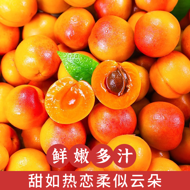 新疆阿克苏小红杏：当季新鲜甜杏，孕妇水果首选，顺丰空运送甜蜜