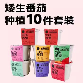 作物生长种植套装：公司年会新年伴手礼，定制专拍，让温暖传递
