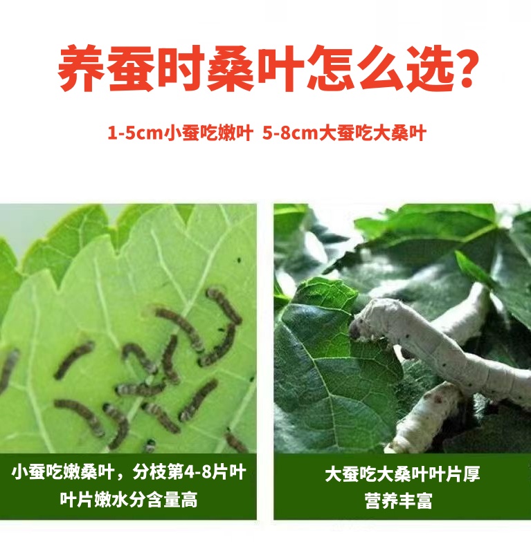 【无配送问题】骑手放门口或电梯，即点即达，真的这么方便吗？