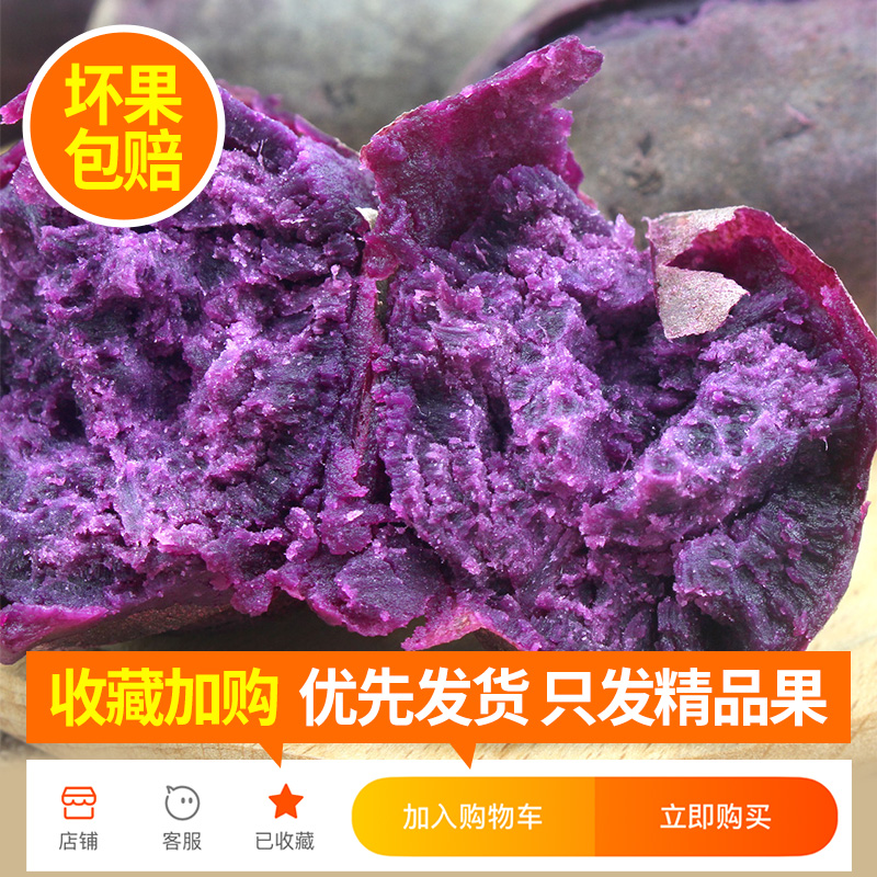 正宗沙地紫罗兰紫薯：解锁秋天的第一口甜蜜！