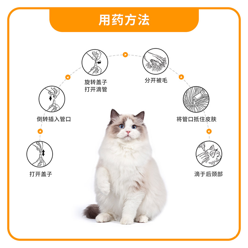 爱沃克猫驱虫药：宠物健康守护神，猫咪驱虫新选择