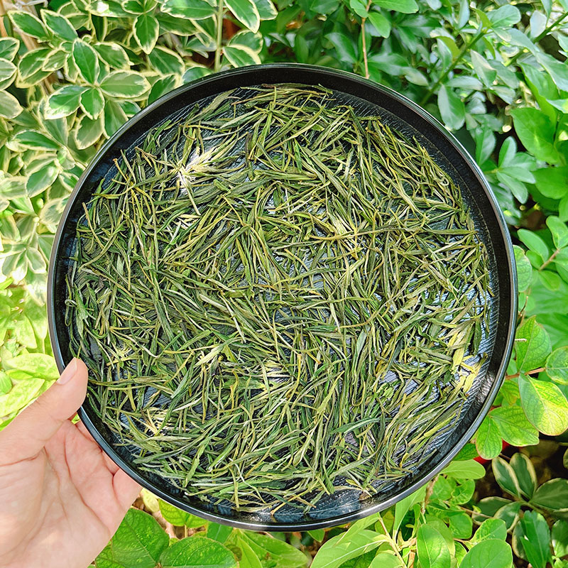 霍山黄芽泡出来是什么颜色？绝绝子，小确幸的茶色揭秘，小白必看！