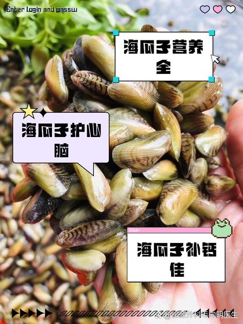 海瓜子,海瓜子的营养价值与食用方法详解