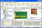 Offline Explorer Pro7.0.4408