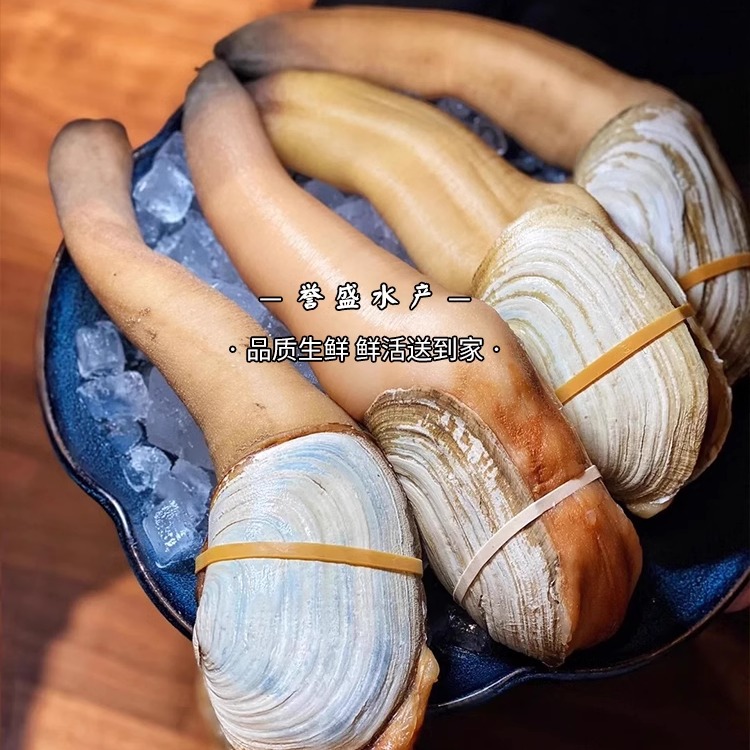 加拿大大象拔蚌2斤装：鲜活海产界的神秘瑰宝，你吃过吗？