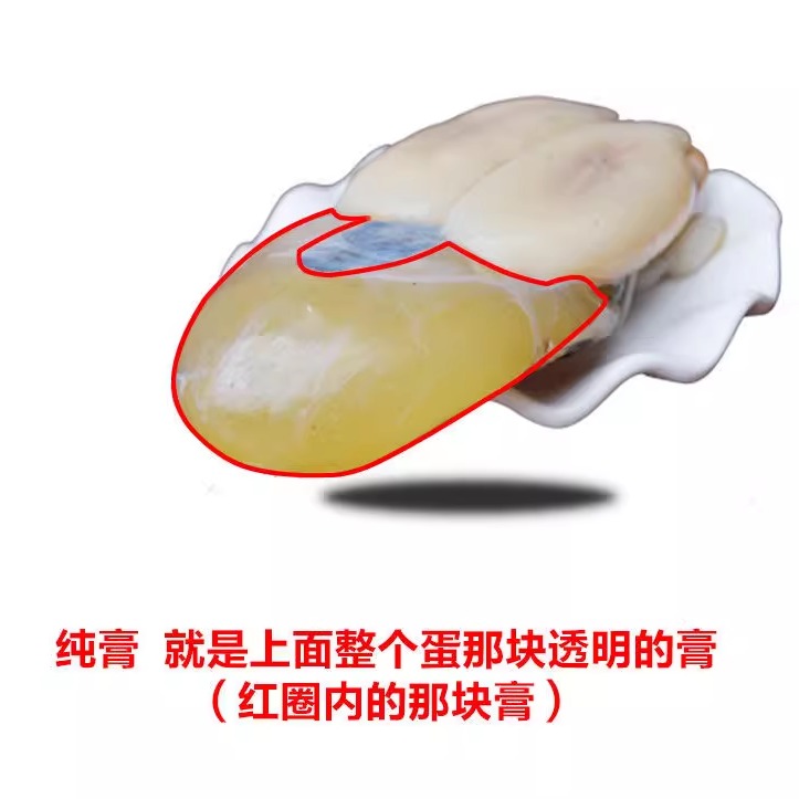 全淡大墨鱼蛋500g，舟山新鲜目鱼蛋，台州特产，尝鲜必备！