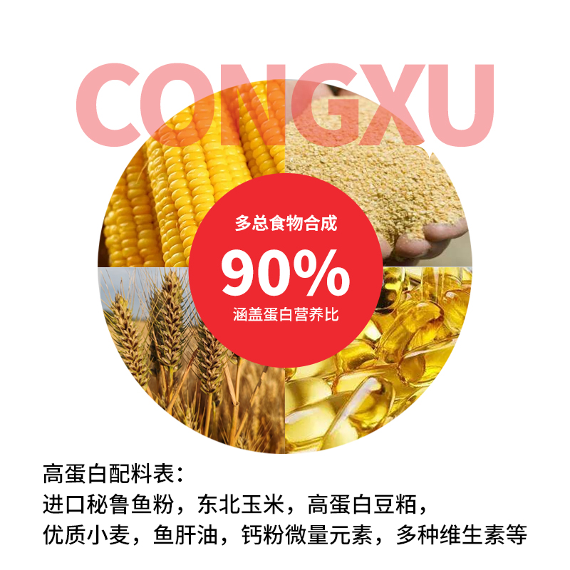 小白鼠鼠粮大揭秘：花枝鼠粮，高蛋白大颗粒，小鼠最爱！