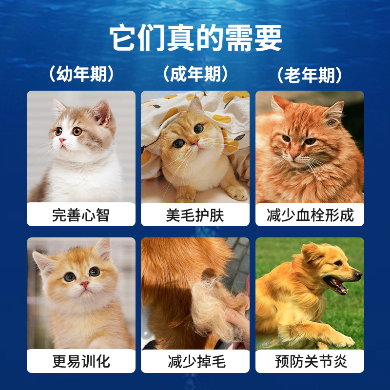法斗专用狗狗深海鱼油胶囊，卵磷脂美毛亮毛防掉毛的秘密武器！