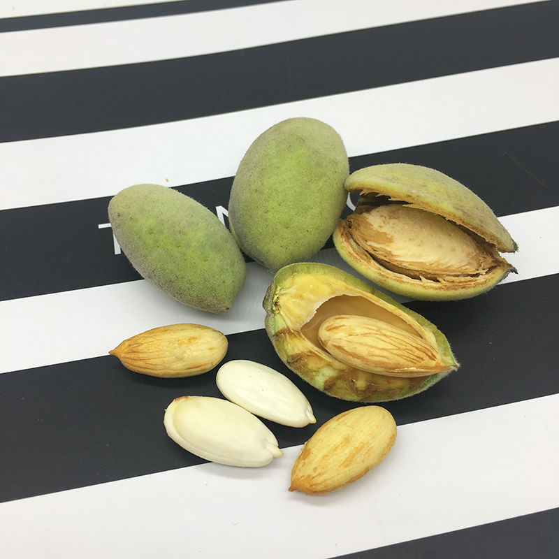 新鲜巴旦木现摘湿巴旦木：解锁大自然的美味密码，5斤装让你一次吃个够！