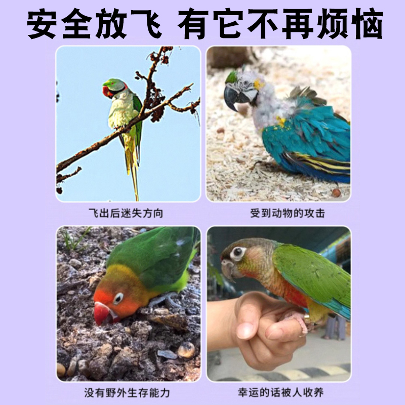 鹦鹉脖套超轻放飞绳，解放你的爱宠，让它自由翱翔！️✨