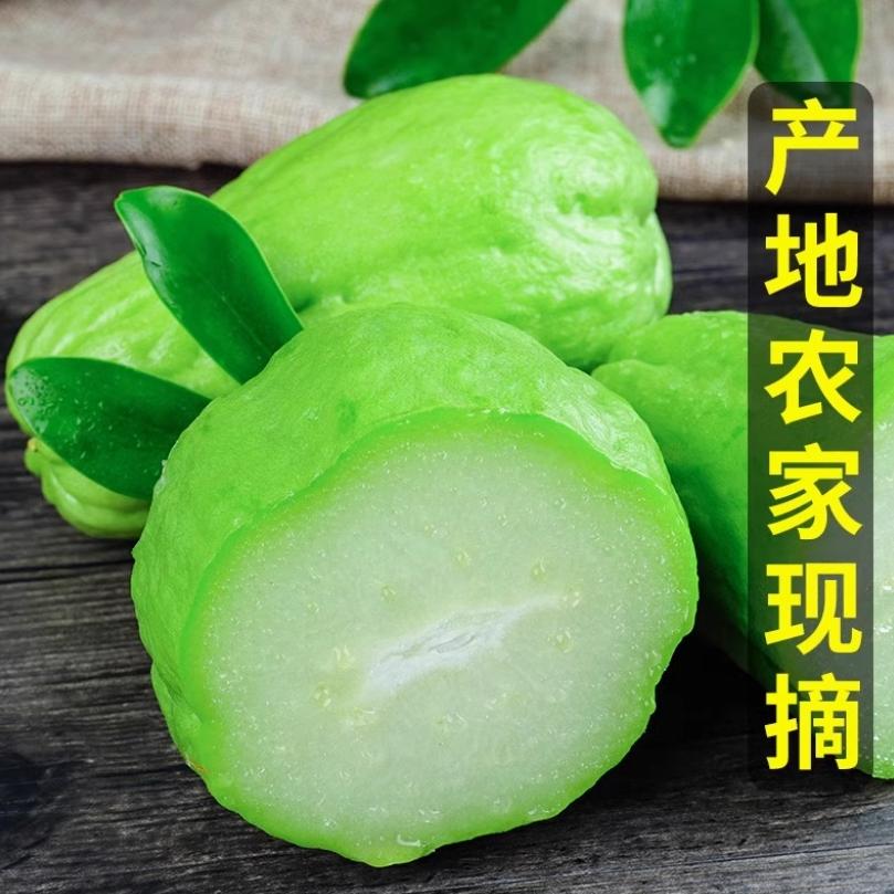 云南高原农家自种佛手瓜：丰收的甜蜜，5-9斤的自然馈赠！