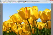 SpReader1.4.9.1
