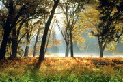 National Parks Free Screensaver2.0
