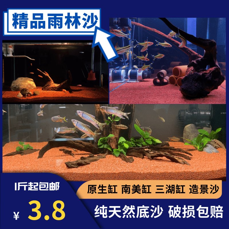 巴卡雷龙用什么底砂好？养巴卡雷龙的底砂选择指南