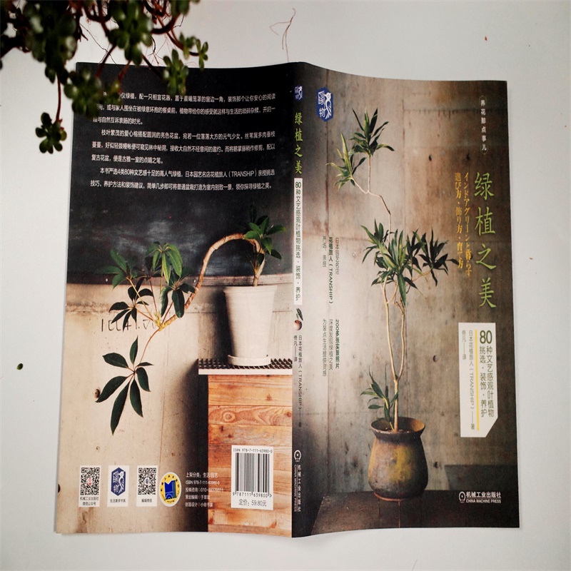 当当网绿植之美：80种文艺感观叶植物，装饰你的小窝，养护秘籍全解析！