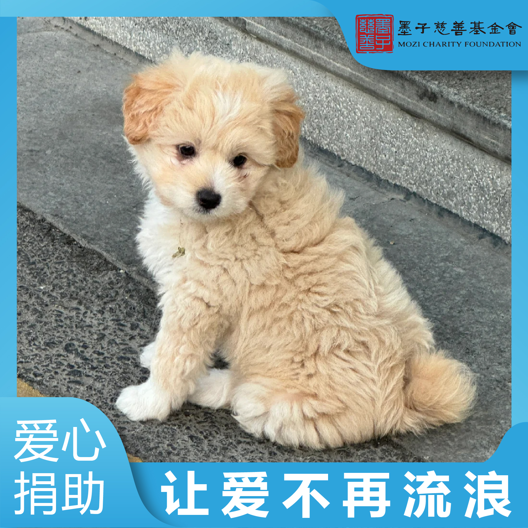 日行一善：淘宝公益项目，用爱心捐赠点亮生命的光