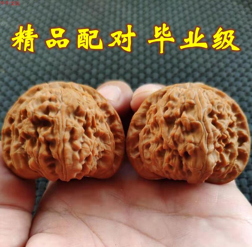 闷尖白狮子头老树精配王三闷白！这波文玩核桃真香预警