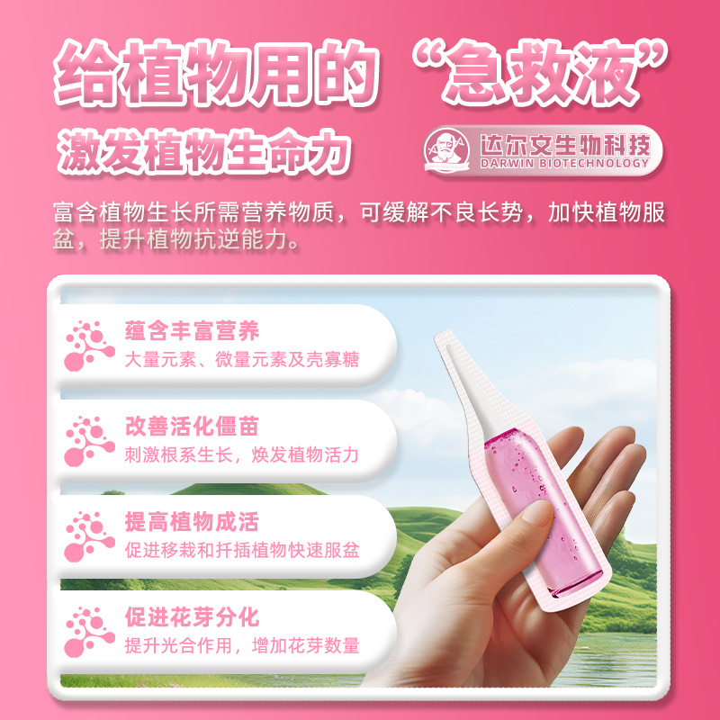 多肉花卉养护全攻略：零基础也能轻松变高手!