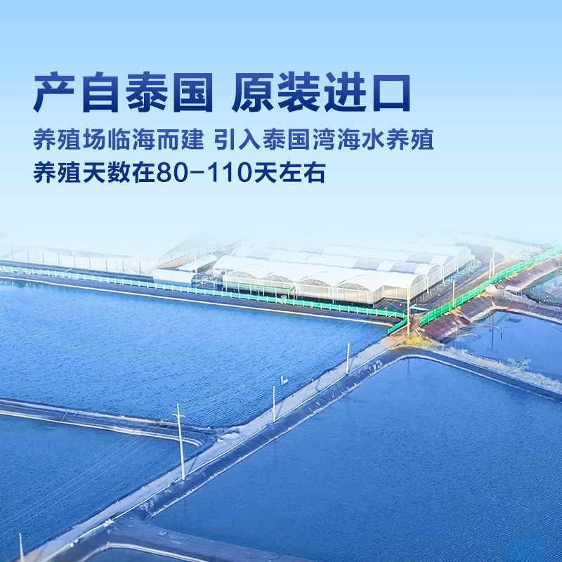 东方甄选白对虾：泰国进口，鲜活速冻，锁鲜大虾，让你享受海鲜盛宴！
