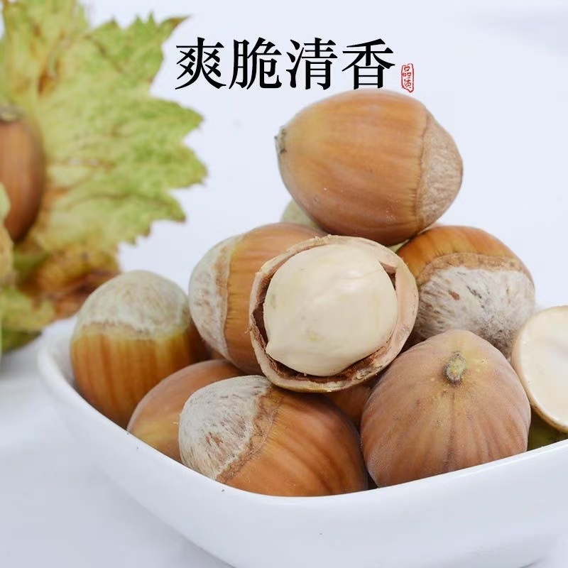 2025年新鲜带绿皮水仁大榛子，东北辽宁原产地直供，野山榛子的味觉盛宴！