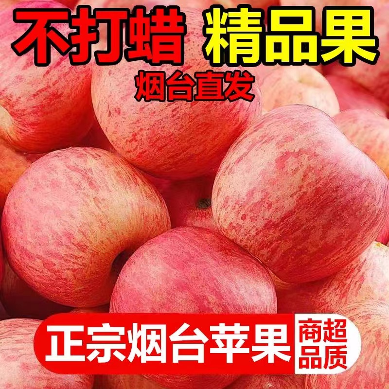 山东烟台红富士苹果：甜蜜的季节，一口咬下幸福的滋味✨