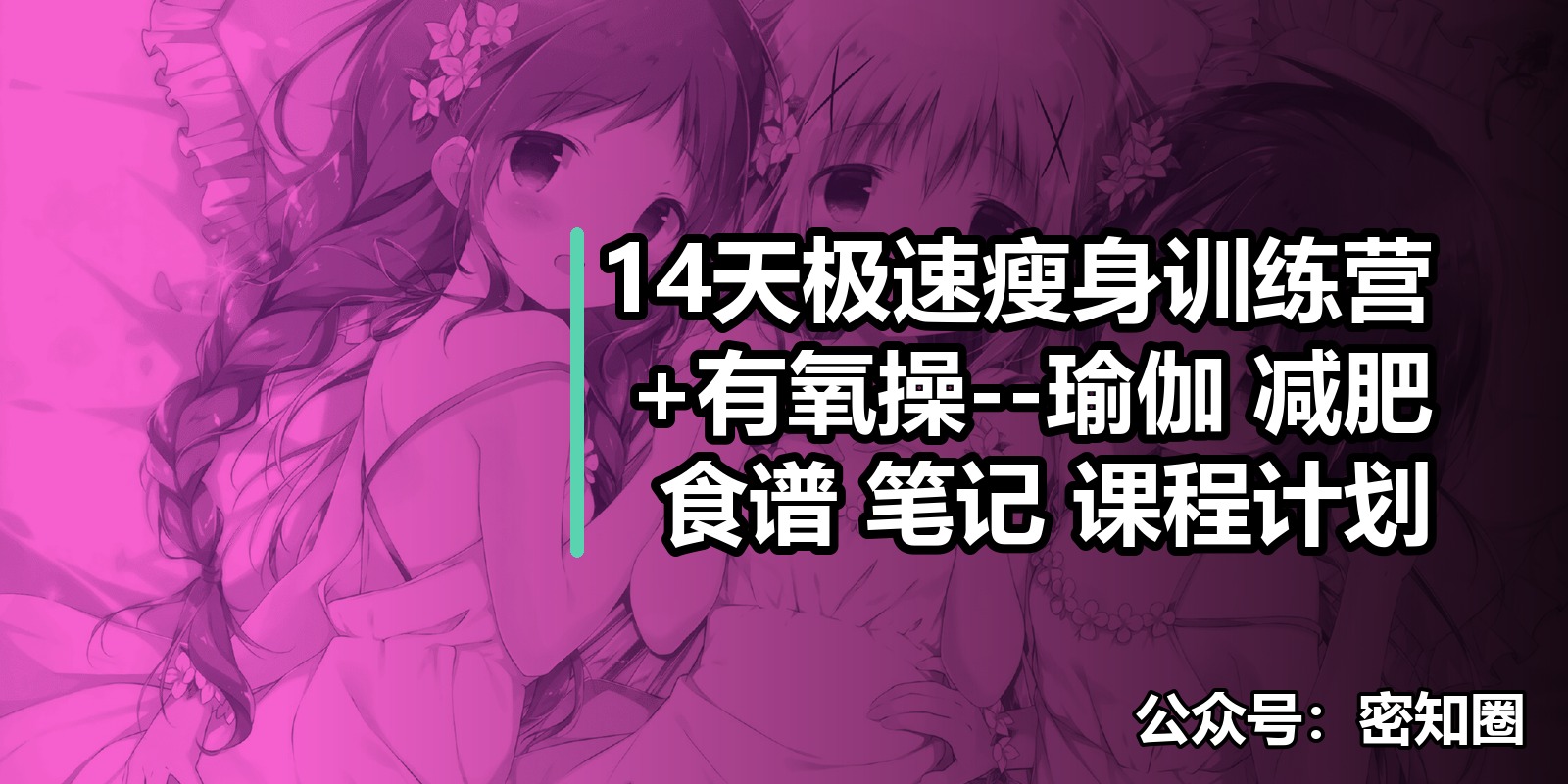 14天极速瘦身训练营+有氧操–瑜伽 减肥 食谱 笔记 课程计划