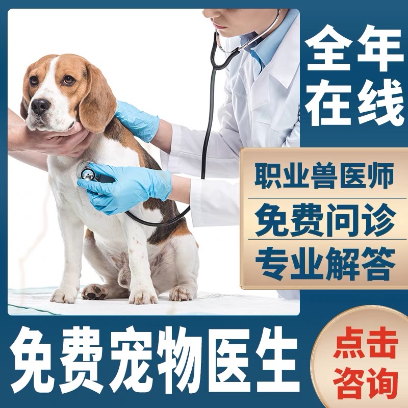 陕西犬舍纯种比熊幼犬训练全攻略：教你如何养出一只温顺可爱的白色小天使！
