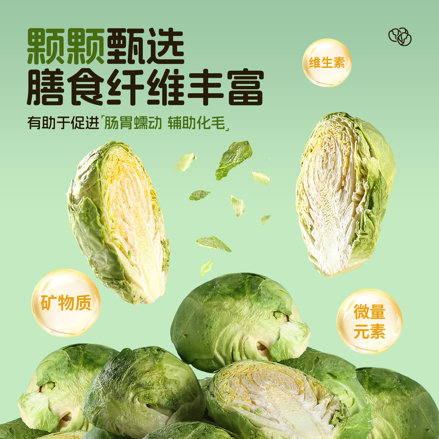 仓鼠零食大揭秘：孢子甘蓝冻干蔬菜干，让金丝熊吃得开心又健康！