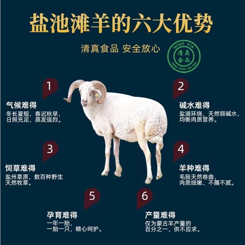 宁夏滩羊烤全羊：13-35斤现杀白条，饭店专用烧烤神器！