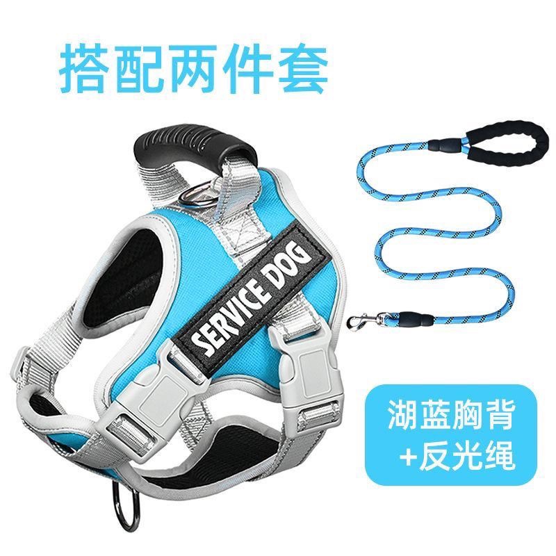 狗狗牵引绳大揭秘：大型犬如金毛拉布拉多的遛狗神器，你选对了吗？