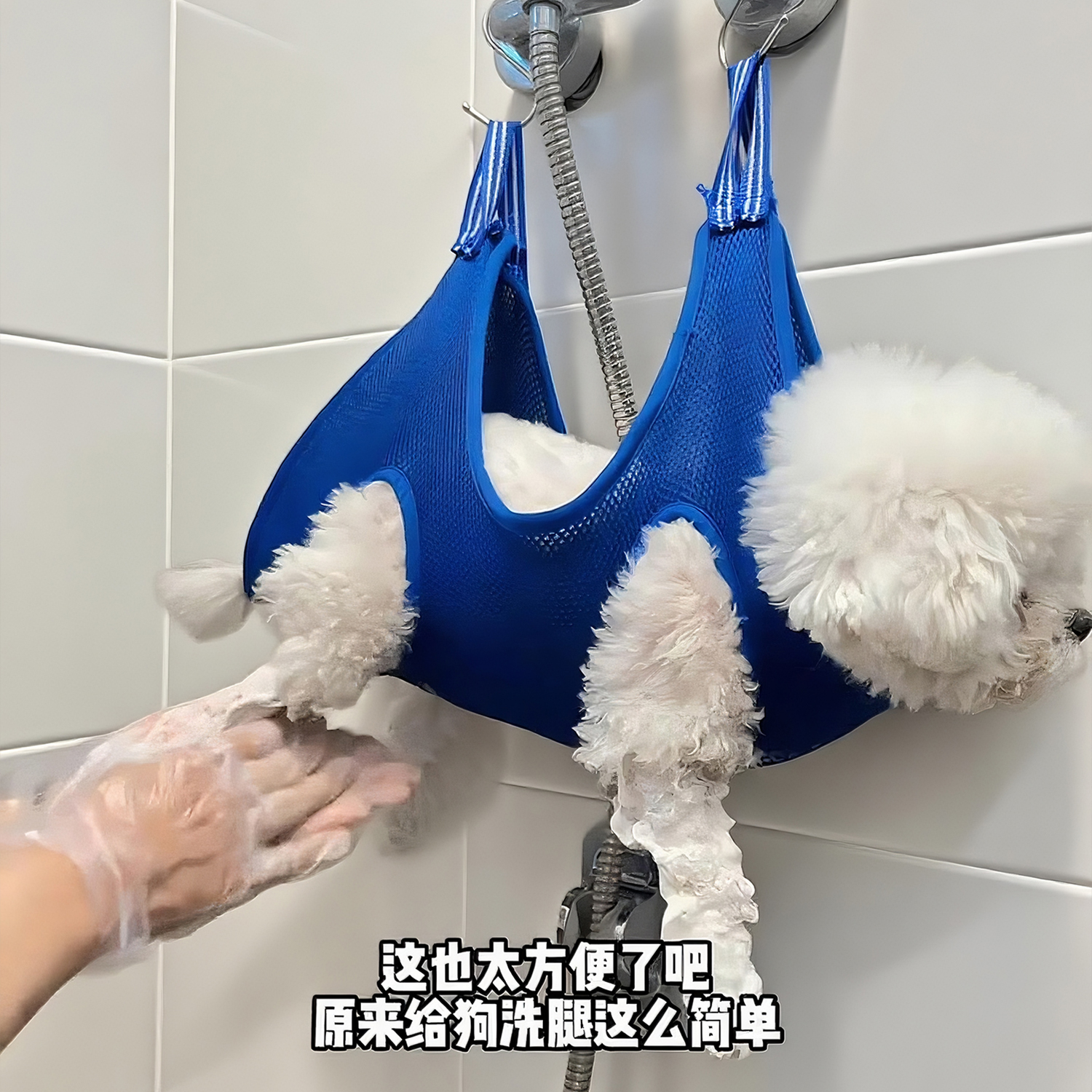 狗狗洗脚神器+猫咪美容吊床：宠物美容新体验，轻松搞定毛孩子！