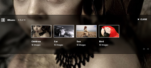 XML Grid Gallery1.0.0