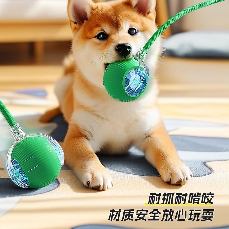 狗狗染发剂：给你的萌宠换个新造型，比熊泰迪博美专属染色神器！