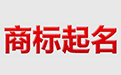 商标品牌起名软件9.0 试用版